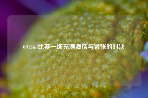 0913lol比赛一场充满激情与紧张的对决