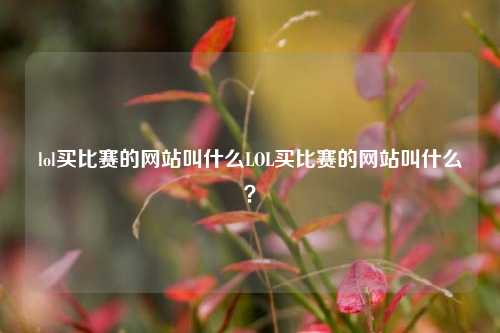 lol买比赛的网站叫什么LOL买比赛的网站叫什么？