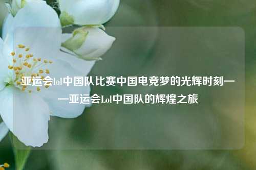 亚运会lol中国队比赛中国电竞梦的光辉时刻——亚运会Lol中国队的辉煌之旅