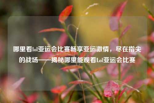 哪里看lol亚运会比赛畅享亚运激情，尽在指尖的战场——揭秘哪里能观看Lol亚运会比赛