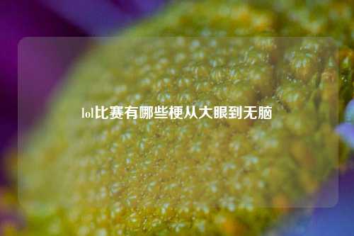 lol比赛有哪些梗从大眼到无脑