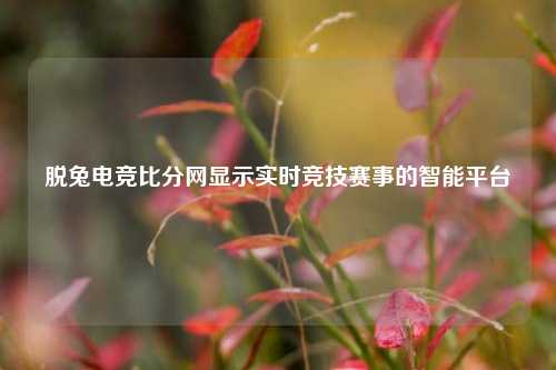 脱兔电竞比分网显示实时竞技赛事的智能平台