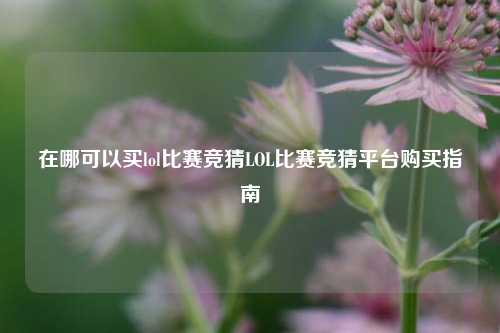 在哪可以买lol比赛竞猜LOL比赛竞猜平台购买指南