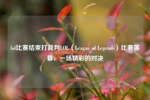 lol比赛结束打裁判LOL（League of Legends）比赛落幕，一场精彩的对决