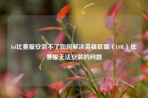 lol比赛服安装不了如何解决英雄联盟（LOL）比赛服无法安装的问题