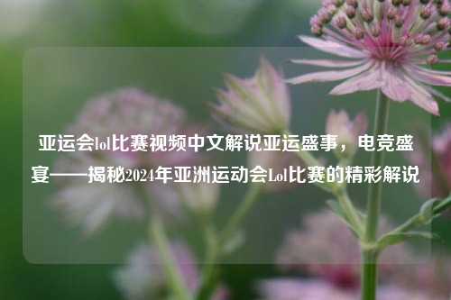 亚运会lol比赛视频中文解说亚运盛事，电竞盛宴——揭秘2024年亚洲运动会Lol比赛的精彩解说
