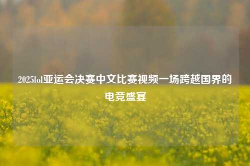 2025lol亚运会决赛中文比赛视频一场跨越国界的电竞盛宴