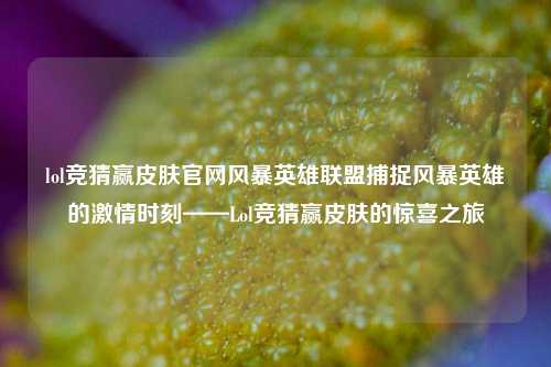 lol竞猜赢皮肤官网风暴英雄联盟捕捉风暴英雄的激情时刻——Lol竞猜赢皮肤的惊喜之旅