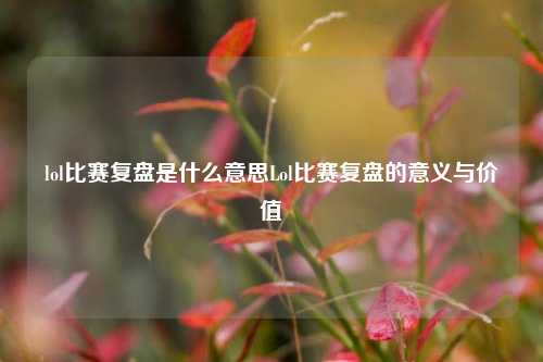 lol比赛复盘是什么意思Lol比赛复盘的意义与价值