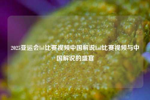 2025亚运会lol比赛视频中国解说Lol比赛视频与中国解说的盛宴