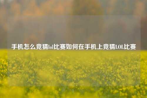 手机怎么竞猜lol比赛如何在手机上竞猜LOL比赛