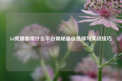 lol竞猜都用什么平台揭秘最佳选择与实战技巧