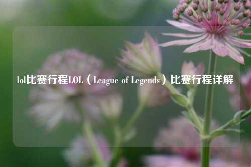 lol比赛行程LOL（League of Legends）比赛行程详解