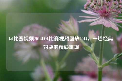 lol比赛视频2014LOL比赛视频回放2014，一场经典对决的精彩重现