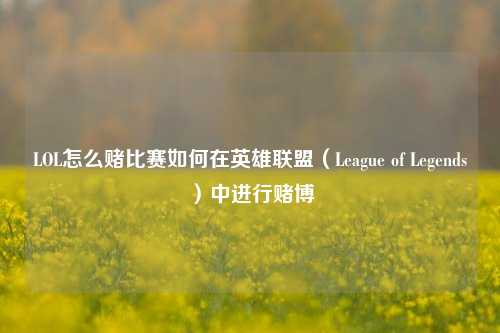 LOL怎么赌比赛如何在英雄联盟（League of Legends）中进行赌博