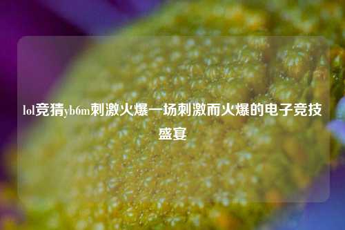lol竞猜yb6m刺激火爆一场刺激而火爆的电子竞技盛宴