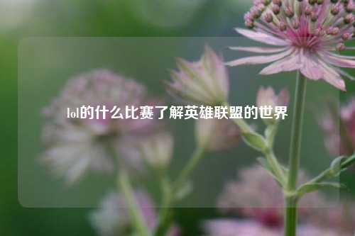 lol的什么比赛了解英雄联盟的世界