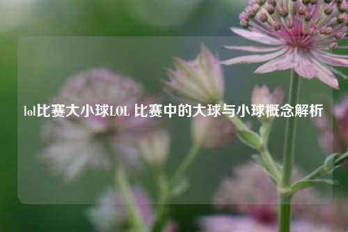 lol比赛大小球LOL 比赛中的大球与小球概念解析