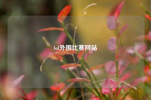lol外围比赛网站