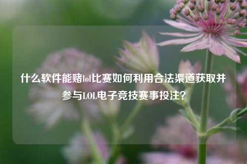 什么软件能赌lol比赛如何利用合法渠道获取并参与LOL电子竞技赛事投注？