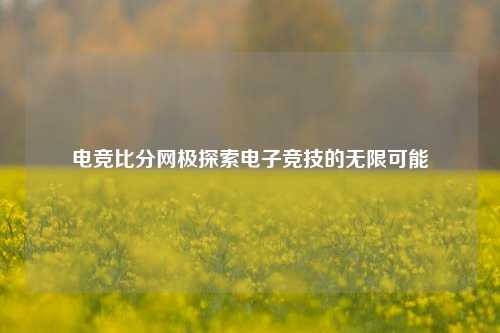 电竞比分网极探索电子竞技的无限可能