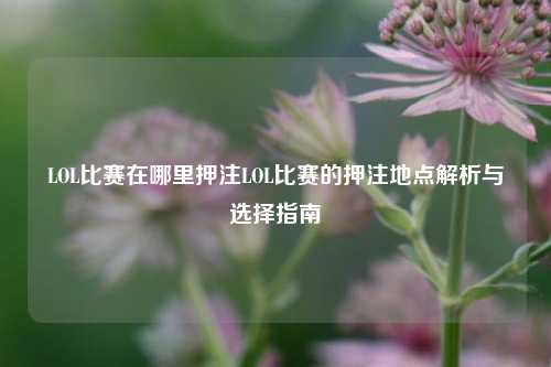 LOL比赛在哪里押注LOL比赛的押注地点解析与选择指南
