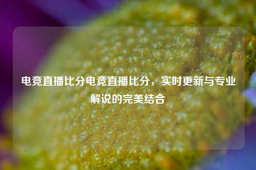电竞直播比分电竞直播比分，实时更新与专业解说的完美结合