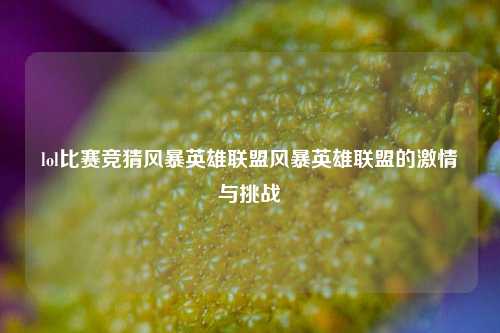 lol比赛竞猜风暴英雄联盟风暴英雄联盟的激情与挑战
