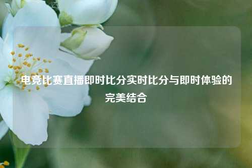 电竞比赛直播即时比分实时比分与即时体验的完美结合
