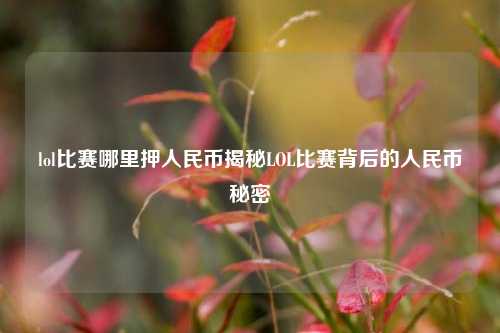 lol比赛哪里押人民币揭秘LOL比赛背后的人民币秘密