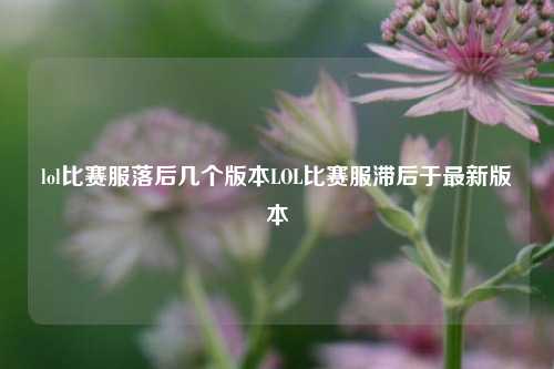 lol比赛服落后几个版本LOL比赛服滞后于最新版本