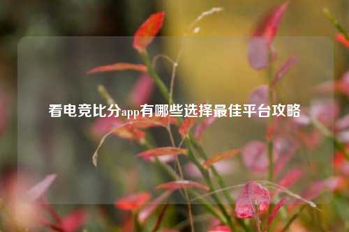 看电竞比分app有哪些选择最佳平台攻略