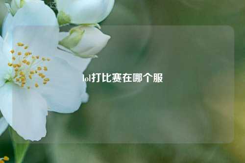 lol打比赛在哪个服