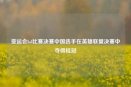 亚运会lol比赛决赛中国选手在英雄联盟决赛中夺得桂冠