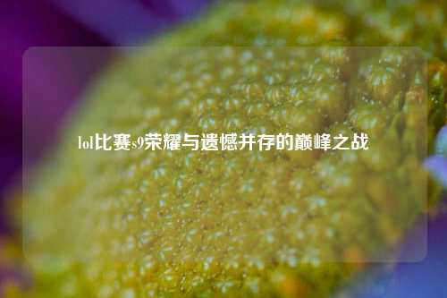 lol比赛s9荣耀与遗憾并存的巅峰之战