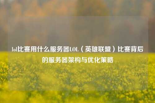 lol比赛用什么服务器LOL（英雄联盟）比赛背后的服务器架构与优化策略