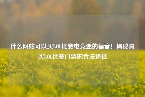 什么网站可以买LOL比赛电竞迷的福音！揭秘购买LOL比赛门票的合法途径
