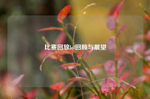 比赛回放lol回顾与展望