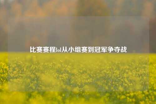 比赛赛程lol从小组赛到冠军争夺战