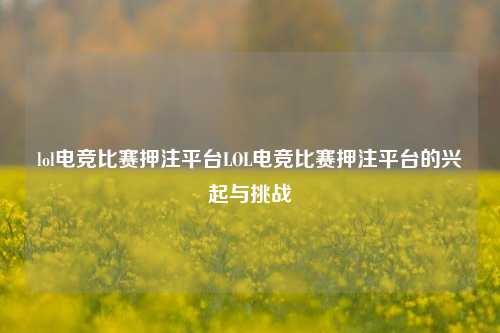 lol电竞比赛押注平台LOL电竞比赛押注平台的兴起与挑战