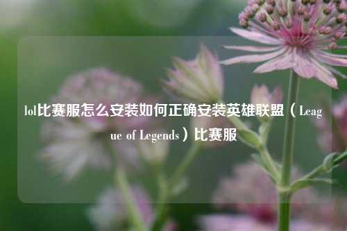 lol比赛服怎么安装如何正确安装英雄联盟（League of Legends）比赛服