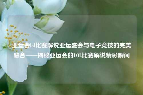 亚运会lol比赛解说亚运盛会与电子竞技的完美融合——揭秘亚运会的LOL比赛解说精彩瞬间