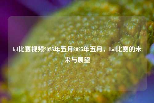 lol比赛视频2025年五月2025年五月，Lol比赛的未来与展望