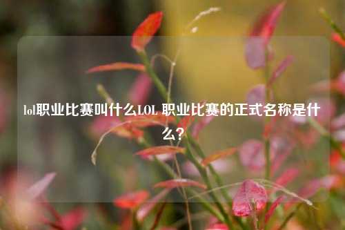 lol职业比赛叫什么LOL 职业比赛的正式名称是什么？