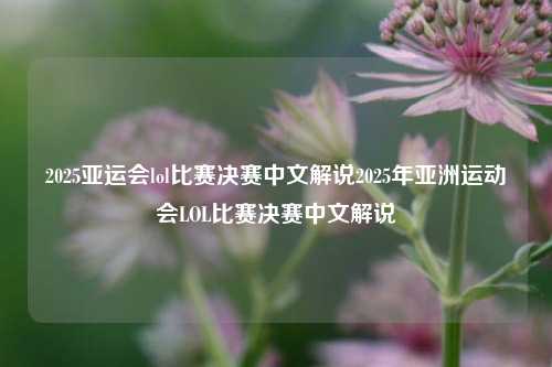 2025亚运会lol比赛决赛中文解说2025年亚洲运动会LOL比赛决赛中文解说