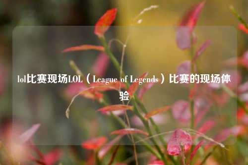 lol比赛现场LOL（League of Legends）比赛的现场体验