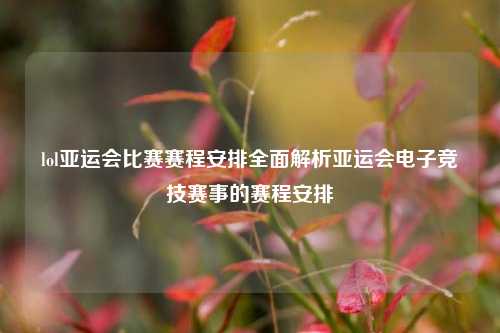 lol亚运会比赛赛程安排全面解析亚运会电子竞技赛事的赛程安排