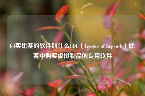 lol买比赛的软件叫什么LOL（League of Legends）比赛中购买虚拟物品的专用软件