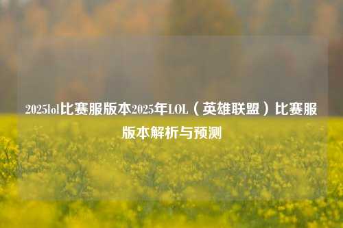 2025lol比赛服版本2025年LOL（英雄联盟）比赛服版本解析与预测