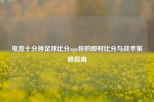 电竞十分钟足球比分app你的即时比分与战术策略指南